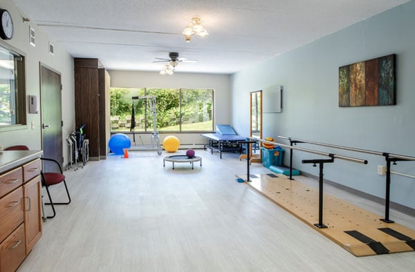edenbrook rochester therapy gym