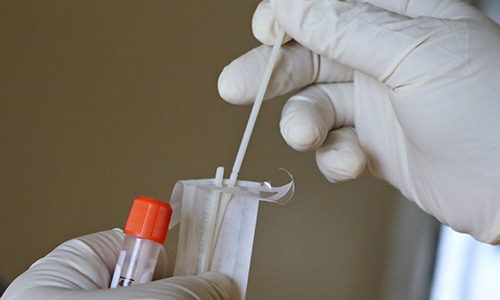 covid testing swab